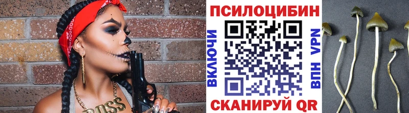 Галлюциногенные грибы Magic Shrooms  Купить  Фатеж 